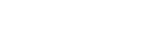 大阪府八尾市で駅近の居酒屋【ホルモンと酒　のと】自慢のおでんやホルモン、おでんの定番「大根」は絶品。女子会や宴会にご利用ください。